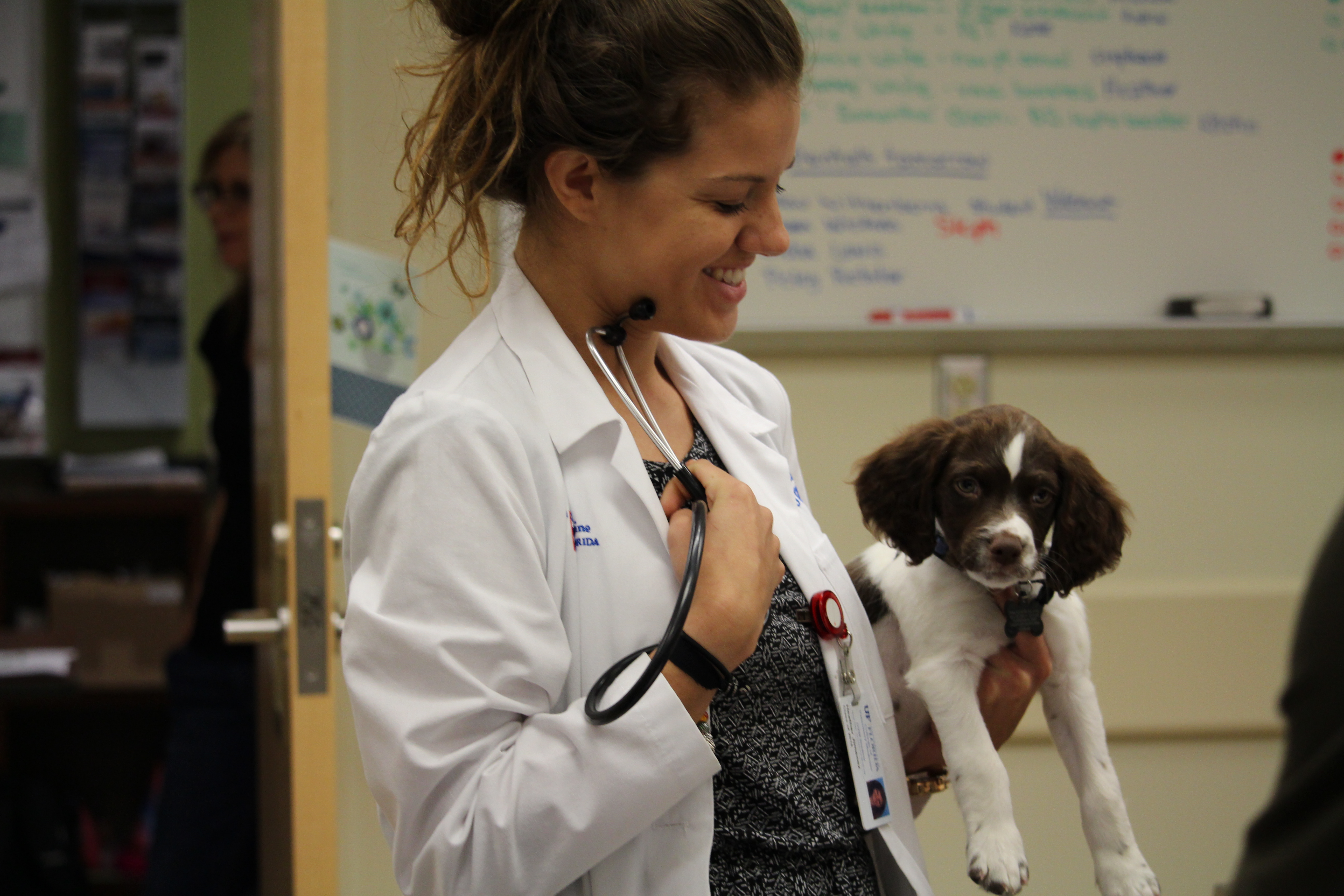 UF Small Animal Hospital gains accreditation from national group | UF  Health, University of Florida Health