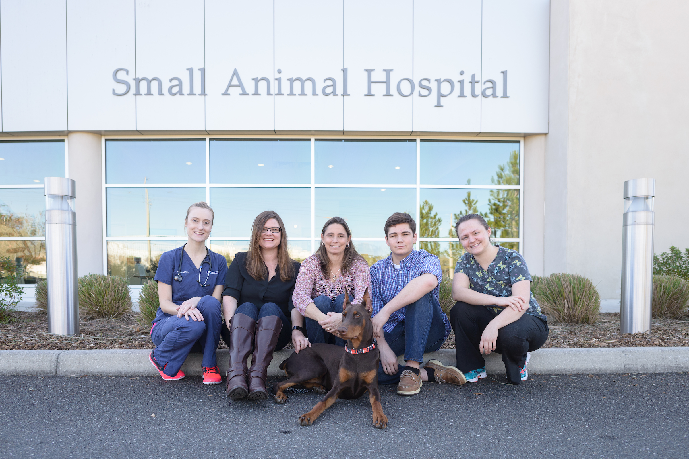 UF veterinary emergency specialists save Doberman from near-drowning  episode | UF Health, University of Florida Health