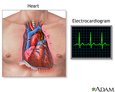 heartbeat | UF Health, University of Florida