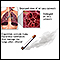 Smoking and COPD (chronic obstructive pulmonary disorder)