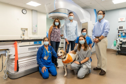Members of the UF Small Animal Hospital's radiation oncology team are shown in front of the hospital's new Varian Edge linear accelerator with Lincoln, one of the first patients to receive care via the new LINAC, and Lincoln's owners, Monisha Seth and Anthony Douglas. (Photo by Jesse Jones)