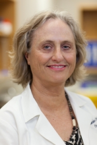 Martha Campbell-Thompson, D.V.M., Ph.D., a professor in the UF College of Medicine department of pathology, immunology and laboratory medicine.
