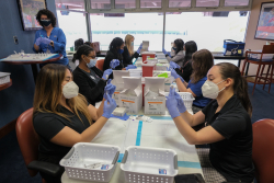 UF College of Pharmacy students prepare vaccine shots at a vaccination event at Ben Hill Griffin Stadium in February. Vaccination will allow the nation to reach herd immunity in the COVID-19 pandemic. (Photo by Jesse S. Jones)