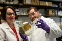 Bonnie Avery, Ph.D., a clinical professor of pharmaceutics, and Chris McCurdy, Ph.D., a professor of medicinal chemistry, hold up a flask of kratom, or Mitragyna speciosa, in a laboratory at the University of Florida. Researchers at the UF College of Pharmacy research kratom's potential to wean addicts off opioids.