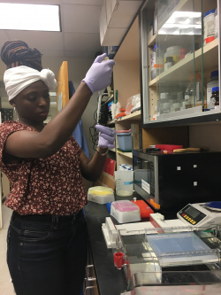 Krystal Glasford, studying microbiology and cell science at the UF College of Medicine, is among only 21 students across the country chosen to be a fellow in the American Physiological Society’s 2018 Short-Term Research Education Program to Increase Diversity in Health- Related Research, or STRIDE.