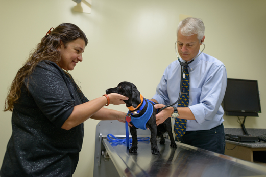 Dr. Simon Swift, right, a UF veterinary cardiologist, listens to the heartbeat of a dog named Rumple, owned by Ligia Sandi, left, during a check-up at the UF Small Animal Hospital in July 2016. (Photo by Mindy Miller)