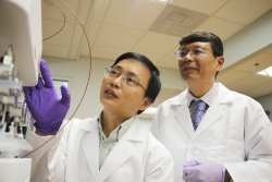 Guangrong Zheng, Ph.D., left, an associate professor of medicinal chemistry, and Daohong Zhou, M.D., right, a professor of pharmacodynamics and the Henry E. Innes Professorship of Cancer Research at the UF Health Cancer Center, bring their complementary expertise together under the same roof at the University of Florida College of Pharmacy. PHOTO CREDIT: Donovan C. Baltich