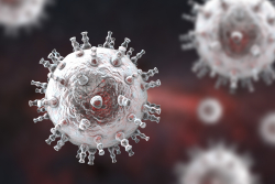 An illustration of a herpesvirus (Kateryna Kon/Shutterstock.com)