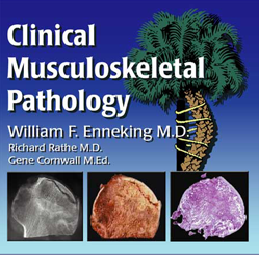 Clinical Musculoskeletal Pathology graphic