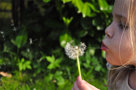 Springtime is a season of allergies - here's some tips on how to survive the sniffles