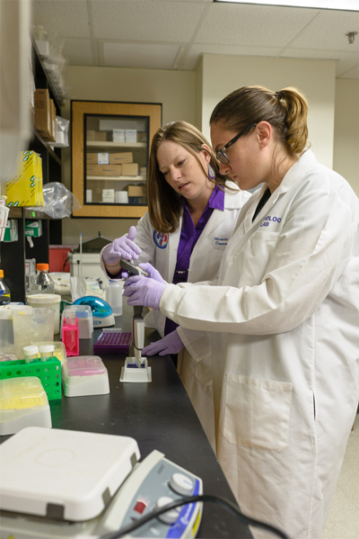 Michelle Gumz, Ph.D. (left), received a $1.47 million grant from the National Institutes of Health in September to study the circadian rhythms of kidneys. Here she works with Lauren Douma, Ph.D., a postdoctoral fellow in Gumz’ lab.