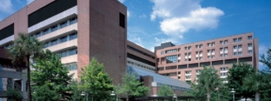 UF Health Liver Transplant – Shands Hospital