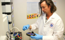 Researcher handles test vials for study.