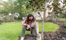 Olivia Foli, 16, places a stone painted with the word “thrifty” in the UF Health Children’s Healing Garden. The rock is part of a scavenger hunt for pediatric patients.